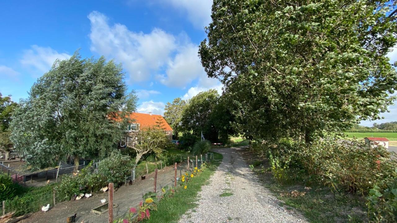 Bie Oans Oefje Villa Lewedorp Eksteriør bilde