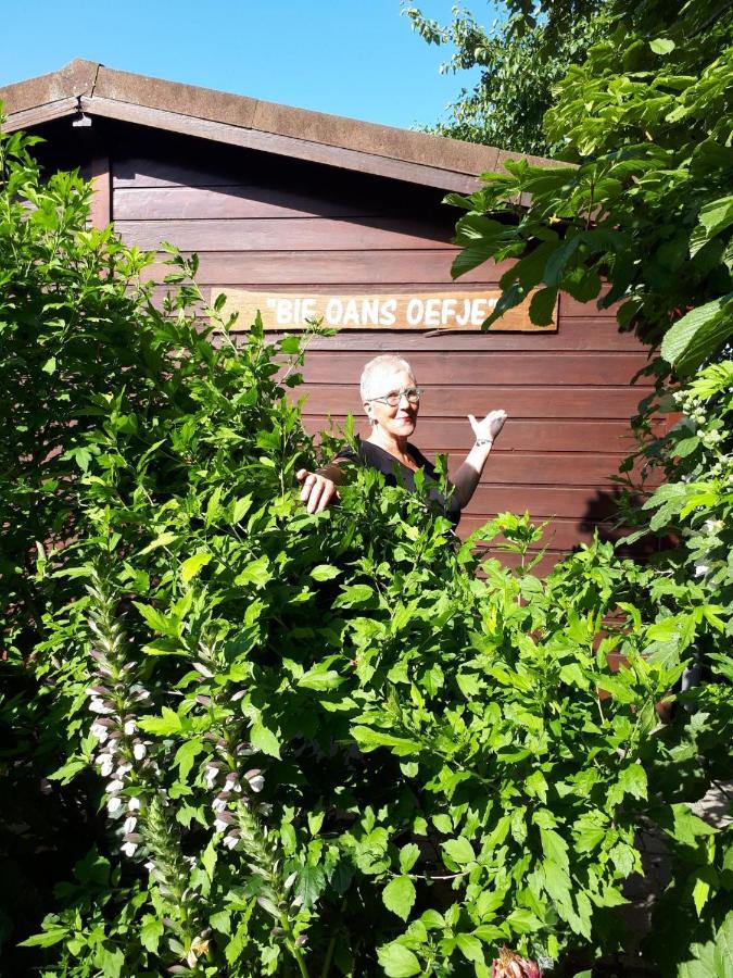 Bie Oans Oefje Villa Lewedorp Eksteriør bilde