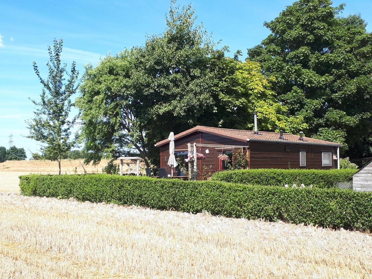 Bie Oans Oefje Villa Lewedorp Eksteriør bilde