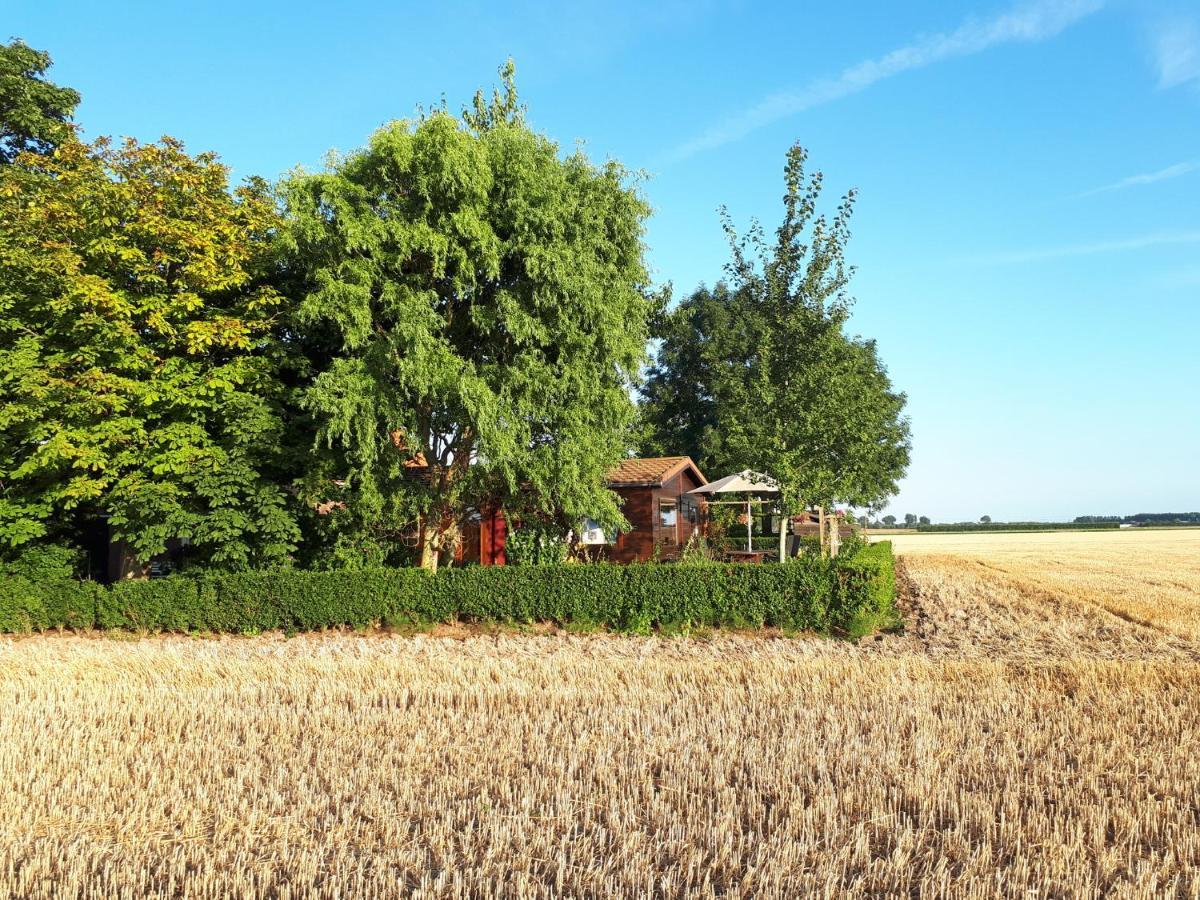 Bie Oans Oefje Villa Lewedorp Eksteriør bilde
